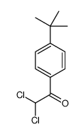 2,2-dichloro-1-[4-(1,1-dimethylethyl)phenyl]ethan-1-one Structure
