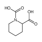 piperidine-1,2-dicarboxylic acid结构式