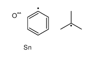 tert-butyl-oxo-phenyltin Structure