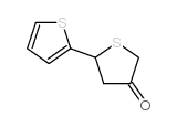 5-(2-噻吩基)四氢噻吩-3-酮结构式