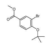 3-溴-4-叔丁氧基苯甲酸甲酯结构式