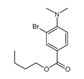 3-溴-4-(二甲基氨基)苯甲酸丁酯结构式