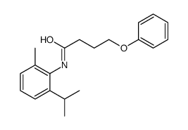 2-Amino-2-butylhexanoic acid methyl ester Structure