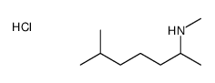 methyl(6-methylheptan-2-yl)azanium,chloride Structure
