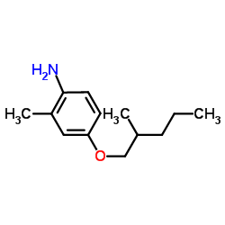 2-Methyl-4-[(2-methylpentyl)oxy]aniline Structure