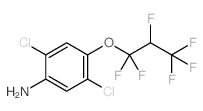 2,5-Dichloro-4-(1,1,2,3,3,3-hexafluoropropoxy)benzenamine picture