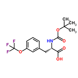 (S)-2-((叔丁氧基羰基)氨基)-3-(3-(三氟甲氧基)苯基)丙酸结构式