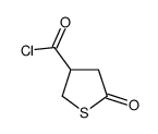 3-Thiophenecarbonyl chloride, tetrahydro-5-oxo- (9CI) picture