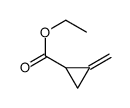 ethyl 2-methylidenecyclopropane-1-carboxylate结构式