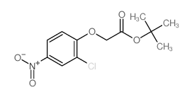 4-硝基-2-氯苯氧基乙酸叔丁酯结构式