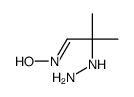 N-(2-hydrazinyl-2-methylpropylidene)hydroxylamine Structure