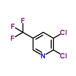 2,3-二氯-5-三氟甲基吡啶图片