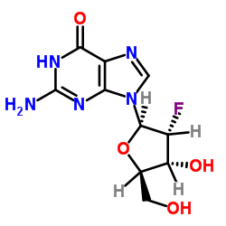 2′-Deoxy-2′-fluoroguanosine structure