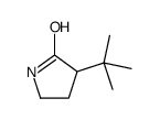 3-tert-butylpyrrolidin-2-one Structure