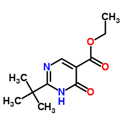 Ethyl 2-(2-methyl-2-propanyl)-6-oxo-1,6-dihydro-5-pyrimidinecarboxylate Structure