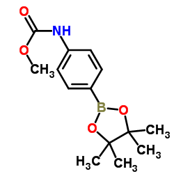 Methyl (4-(4,4,5,5-tetramethyl-1,3,2-dioxaborolan-2-yl)phenyl)carbamate Structure