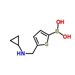 {5-[(Cyclopropylamino)methyl]-2-thienyl}boronic acid Structure