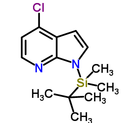 4-氯-1-[(1,1-二甲基乙基)二甲基硅酯]-1H-吡咯并[2,3-B]吡啶结构式
