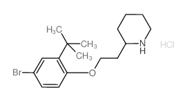 2-{2-[4-Bromo-2-(tert-butyl)phenoxy]-ethyl}piperidine hydrochloride结构式
