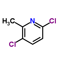 3,6-二氯-2-甲基吡啶结构式