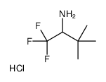 1,1,1-trifluoro-3,3-dimethylbutan-2-amine,hydrochloride Structure