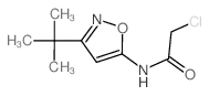 N-(3-叔丁基异恶唑-5-基)-2-氯乙酰胺结构式