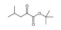 tert-butyl 4-methyl-2-oxopentanoate结构式