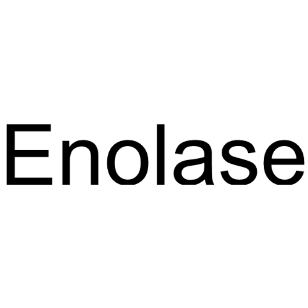 Enolase, from baker's yeast (S. cerevisiae) Structure