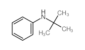 N-叔丁基苯胺结构式