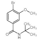 N-t-丁基 4-溴-3-甲氧基苯甲酰胺结构式