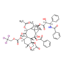7-(2,2,2-三氯乙基氧基羰基)紫杉醇图片
