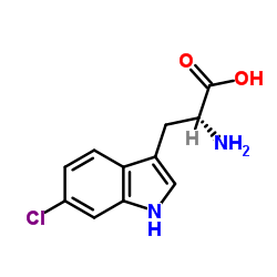 6-氯D-色氨酸图片