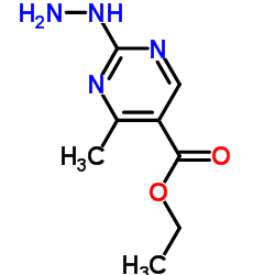 ETHYL 2-HYDRAZINYL-4-METHYLPYRIMIDINE-5-CARBOXYLATE Structure