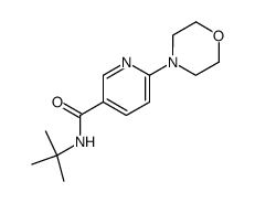 N-tert-butyl-6-(morpholin-4-yl)-nicotinamide结构式