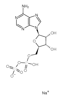 腺苷5-磷酰硫酸二钠盐结构式