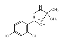 (ar)-2-氯-a-[[(1,1-二甲基乙基)氨基]甲基]-4-羟基苯甲醇结构式