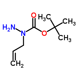 2-Methyl-2-propanyl 1-allylhydrazinecarboxylate Structure