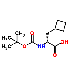 BOC-D-环丁基丙氨酸图片