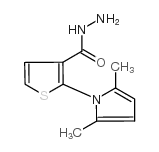 2-(2,5-二甲基-1H-1-吡咯基)-3-噻吩甲肼结构式
