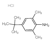 4-叔丁基-2,6-二甲基苯胺盐酸盐结构式