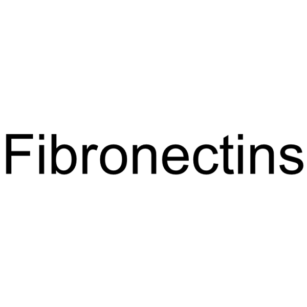 Fibronectin structure