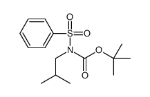 tert-butyl N-(benzenesulfonyl)-N-(2-methylpropyl)carbamate Structure