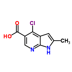 4-氯-2-甲基-1H-吡咯并[2,3-B]吡啶-5-羧酸结构式