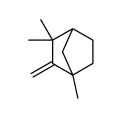 (1R,4S)-2,2,4-trimethyl-3-methylidenebicyclo[2.2.1]heptane结构式