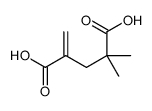 2,2-dimethyl-4-methylidenepentanedioic acid Structure