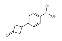 4-(3-氧代环丁基)苯硼酸结构式