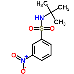 N-叔丁基-3-硝基苯磺酰胺结构式