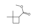 methyl 2,2-dimethylcyclobutane-1-carboxylate Structure