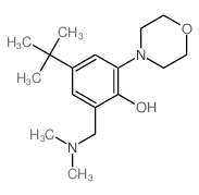 2-(dimethylaminomethyl)-6-morpholin-4-yl-4-tert-butyl-phenol结构式
