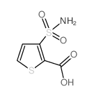 3-(氨基磺酰基)噻吩-2-羧酸结构式